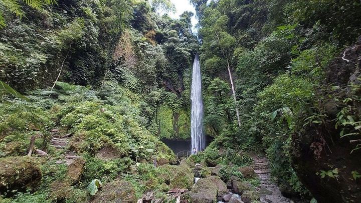 Private Half-Day Trek to Seven Hidden Waterfalls near Sambangan with Lunch (3/10)