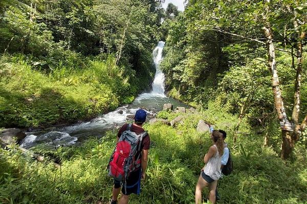 Private Half-Day Trek to Seven Hidden Waterfalls near Sambangan with Lunch