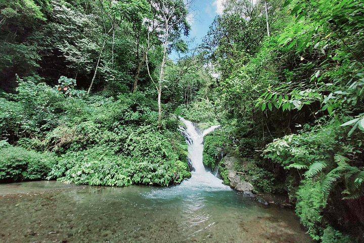 Private Half-Day Trek to Seven Hidden Waterfalls near Sambangan with Lunch (1/10)