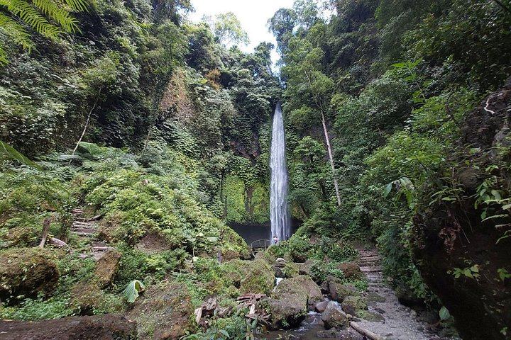 Private Half-Day Trek to Seven Hidden Waterfalls near Sambangan with Lunch (3/10)