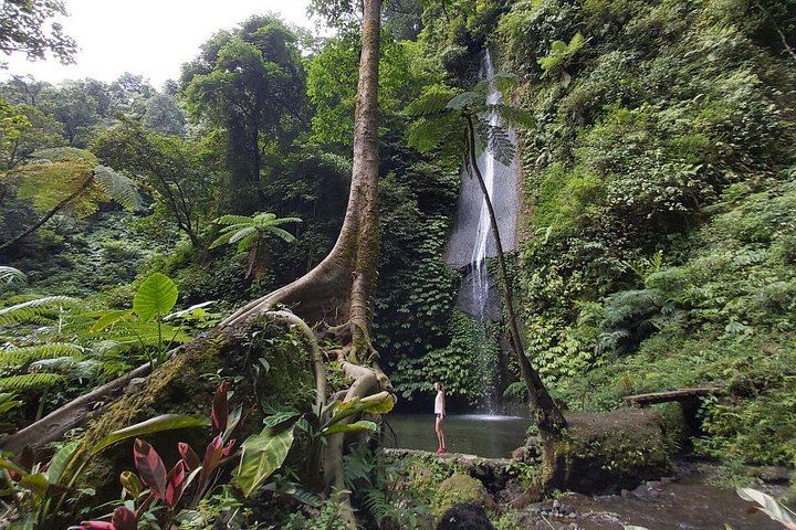 Private Half-Day Trek to Seven Hidden Waterfalls near Sambangan with Lunch (2/10)