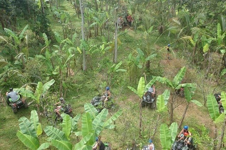 Bali Tarantula ATV Quad Ride in Bongkasa with Waterfall, Cave and Rice Fields (5/12)