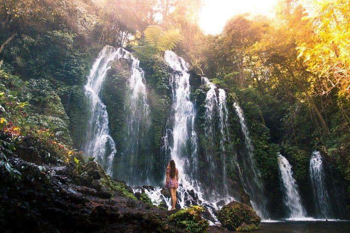 Private Munduk, Banyumala, Leke Leke and Banyu Wana Amertha Waterfall Day (3/12)