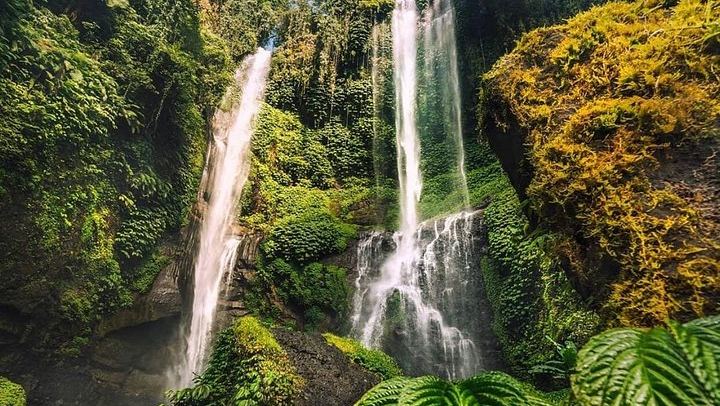 Private Sekumpul and Fiji Waterfall Day Trip with Ulun Danu Beratan Temple Stop (1/8)