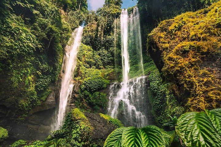 Private Sekumpul and Fiji Waterfall Day Trip with Ulun Danu Beratan Temple Stop (1/8)