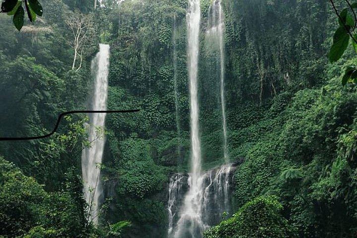 Private Sekumpul and Fiji Waterfall Day Trip with Ulun Danu Beratan Temple Stop (3/8)
