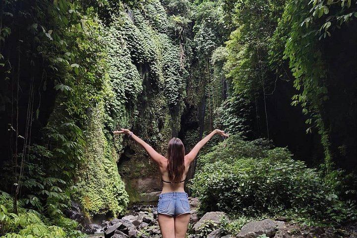 Private Sekumpul and Fiji Waterfall Day Trip with Ulun Danu Beratan Temple Stop (4/8)