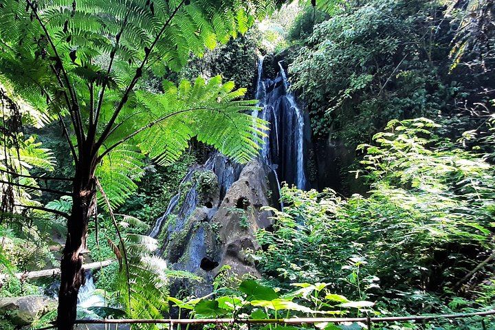 Bali Hidden Waterfalls Day: Kanto Lampo, Goa Raja and Tembuku Falls With Tickets (3/4)