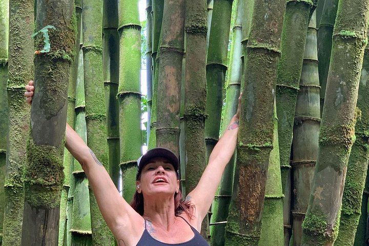 Road to Hana Waterfall and Jungle Tour with a NAI Certified Guide, Photos and Video (6/10)
