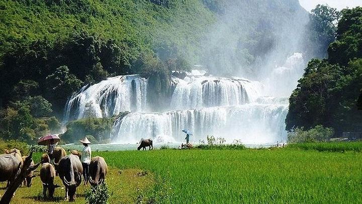 Ban Gioc Waterfall 3-Day Trip from Hanoi with Hotel Night and Angel Eye Camping (4/12)