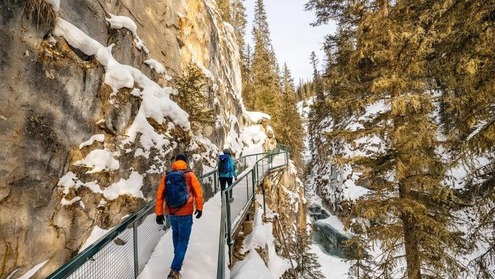 Banff Day Trip: Two Hours at Johnston Canyon Upper Falls, Bow Falls, Optional Gondola (2/7)