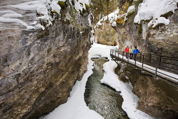 Banff Day Trip: Two Hours at Johnston Canyon Upper Falls, Bow Falls, Optional Gondola