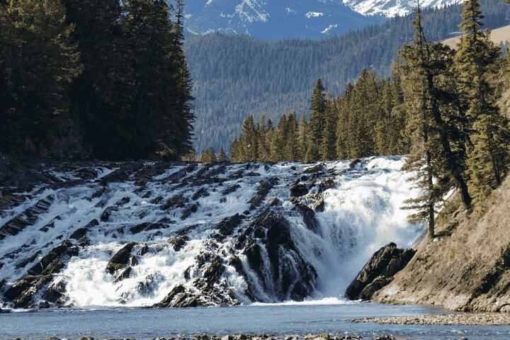 Banff Day Trip: Two Hours at Johnston Canyon Upper Falls, Bow Falls, Optional Gondola (6/7)