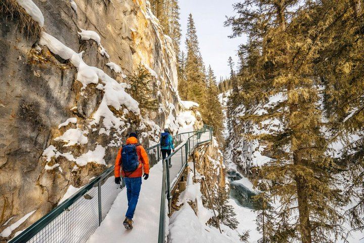 Banff Day Trip: Two Hours at Johnston Canyon Upper Falls, Bow Falls, Optional Gondola (2/7)