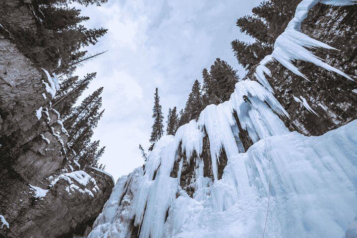 Banff Day Trip: Two Hours at Johnston Canyon Upper Falls, Bow Falls, Optional Gondola (7/7)