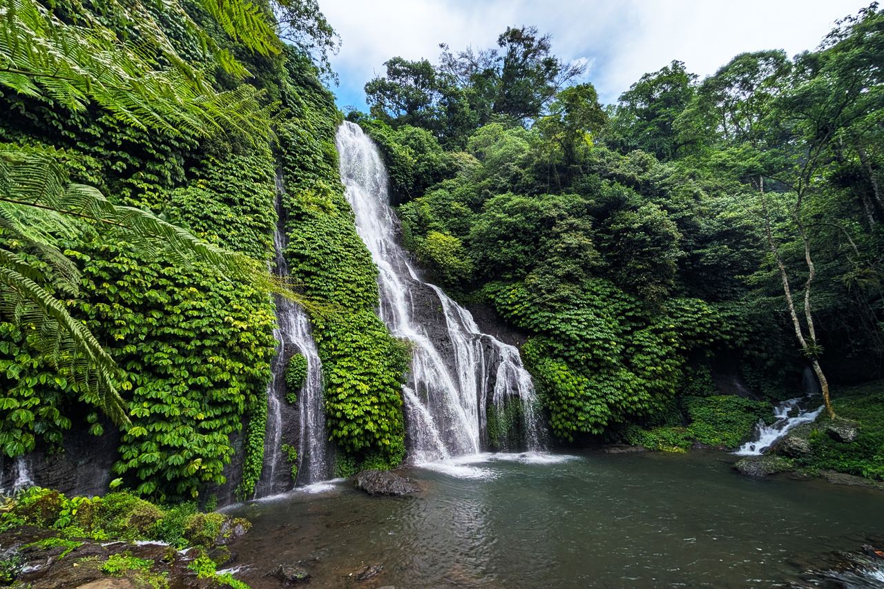 Twin waterfall dropping into a green pool, framed by ferns and jungle at Banyumala in North Bali