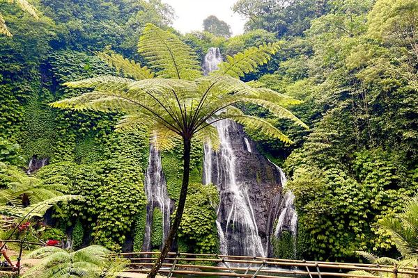 Private Banyumala and Banyuwana Waterfall Hike with Ulun Danu Bratan Temple