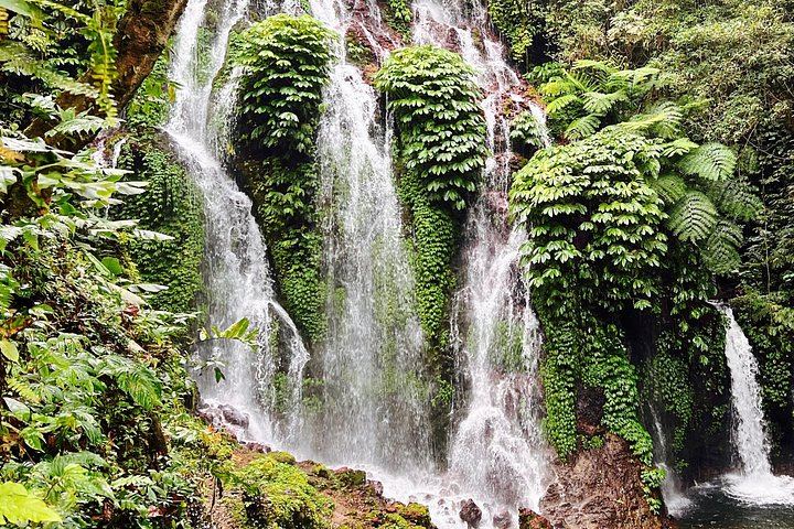 Private Banyumala and Banyuwana Waterfall Hike with Ulun Danu Bratan Temple (7/7)