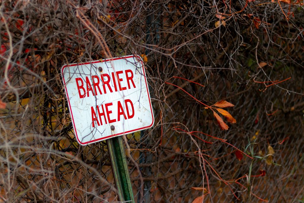 A weathered red and white barrier ahead warning sign leaning on a chain-link fence tangled with bare vines