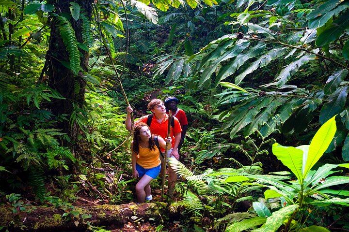 Kings Gardens Maui: Mini Waterfall Hike, Organic Chocolate Tasting and Ancient Sites (10/10)