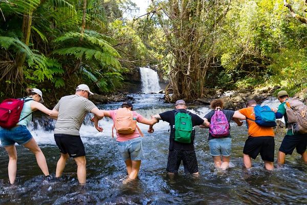 Small Group Hana Highway Waterfall Hike with Lunch from Kahului Park and Ride