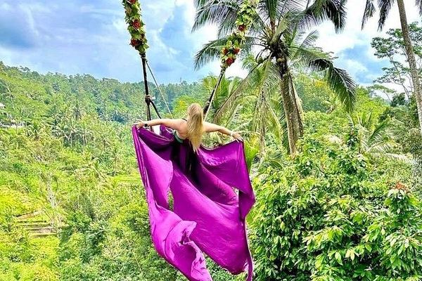 Private Ubud Tour: Ulu Petanu Waterfall, Tirta Empul, Monkey Forest and Swing