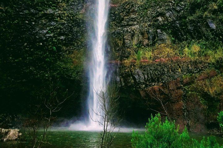 Rabaçal Levada Hike, 17 km: 25 Fontes, Risco and Lagoa do Vento, Harder Small-Group Walk (9/9)
