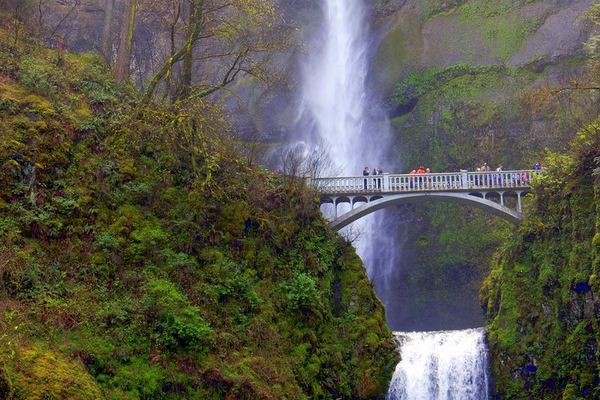 Columbia Gorge Waterfalls and Vista House Tour from Director Park, Portland