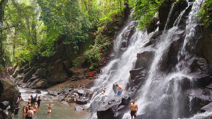 Private Ubud Day: Kanto Lampo, Tibumana, Tirta Empul Melukat and Tegalalang Terraces (4/9)
