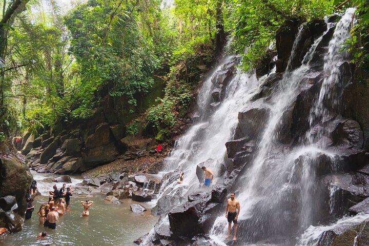 Private Ubud Day: Kanto Lampo, Tibumana, Tirta Empul Melukat and Tegalalang Terraces (4/9)