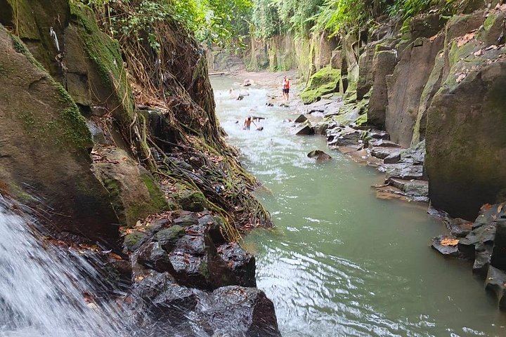 Private Ubud Day: Kanto Lampo, Tibumana, Tirta Empul Melukat and Tegalalang Terraces (8/9)