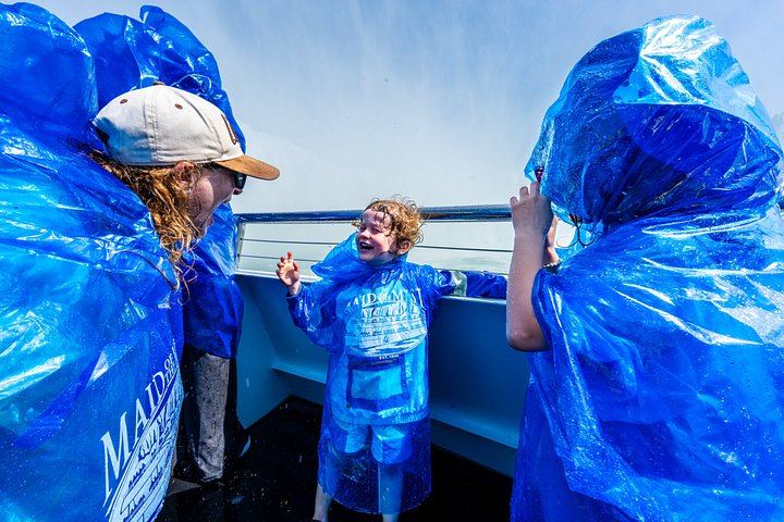 Niagara Falls Overnight Small-Group Shuttle from NYC, Max 14, Maid of the Mist Option (4/8)