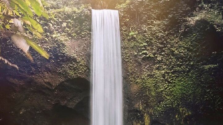Ubud Day Trip: Kanto Lampo, Tibumana, Tukad Cepung, Tegalalang Terraces and Swing (2/12)