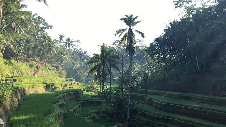 Ubud Waterfalls Day Tour: Kanto Lampo, Tibumana, Tukad Cepung and Swing (4/12)