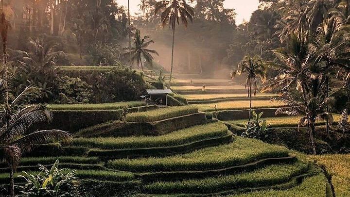 Ubud Waterfalls Day Tour: Kanto Lampo, Tibumana, Tukad Cepung and Swing (2/12)