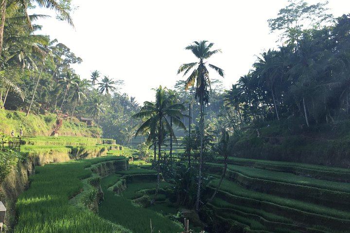 Ubud Waterfalls Day Tour: Kanto Lampo, Tibumana, Tukad Cepung and Swing (4/12)