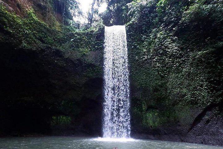 Ubud Waterfalls Day Tour: Kanto Lampo, Tibumana, Tukad Cepung and Swing (9/12)