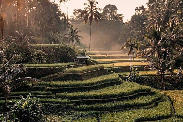 Ubud Waterfalls Day Tour: Kanto Lampo, Tibumana, Tukad Cepung and Swing (2/12)
