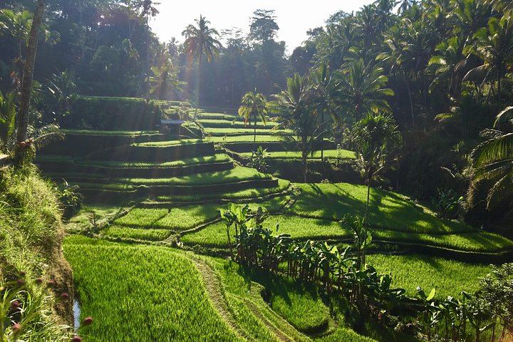 Ubud Waterfalls Day Tour: Kanto Lampo, Tibumana, Tukad Cepung and Swing (5/12)