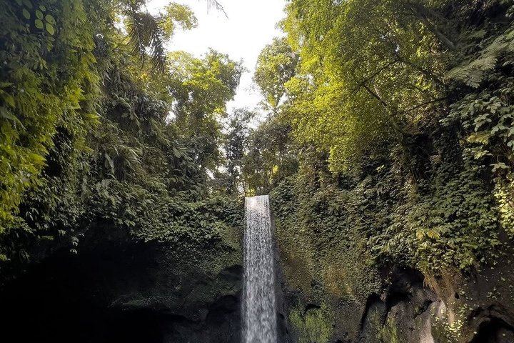 Ubud Day Trip: Kanto Lampo, Tibumana, Tukad Cepung, Tegalalang Terraces and Swing (12/12)