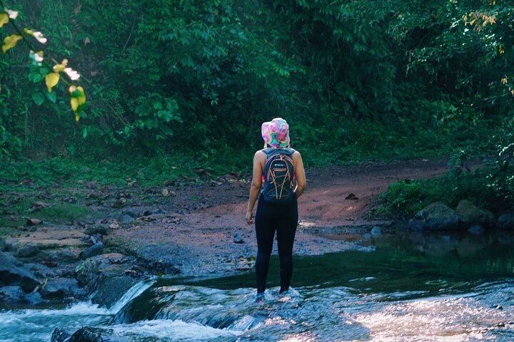 Bijagual Waterfall Walking Tour from Jaco: Forest Trails, Rivers and Pools (1/5)