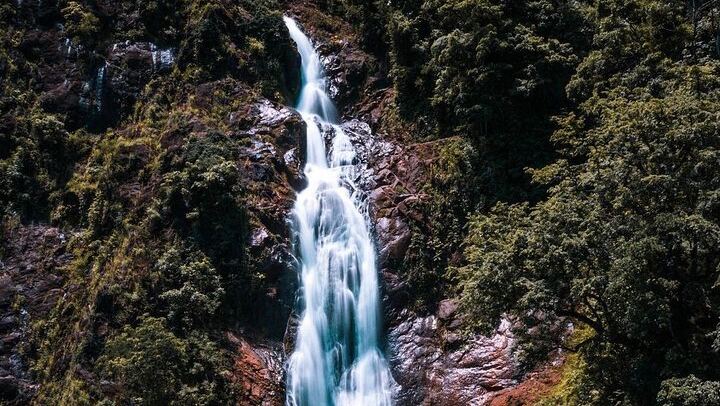 Bijagual Waterfall Walking Tour from Jaco: Forest Trails, Rivers and Pools (4/5)