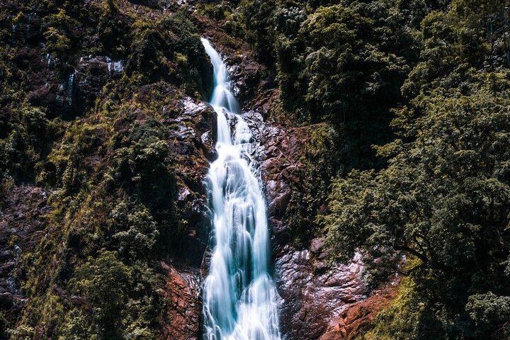 Bijagual Waterfall Walking Tour from Jaco: Forest Trails, Rivers and Pools (4/5)