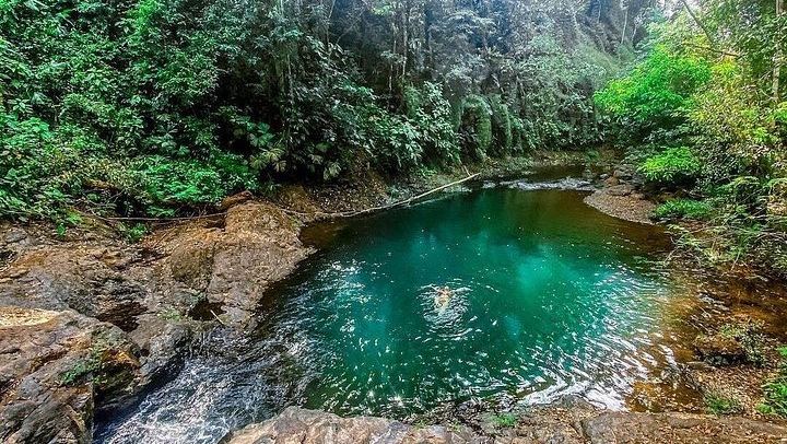 Bijagual Waterfall Walking Tour from Jaco: Forest Trails, Rivers and Pools (2/5)