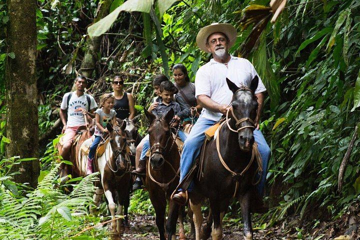 Horseback Riding Tour to Bijagual Waterfall near Jaco, Meeting at the Falls (2/5)