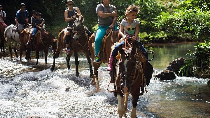 Horseback Riding Tour to Bijagual Waterfall near Jaco, Meeting at the Falls (1/5)