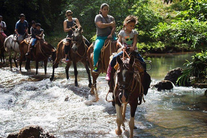 Horseback Riding Tour to Bijagual Waterfall near Jaco, Meeting at the Falls (1/5)