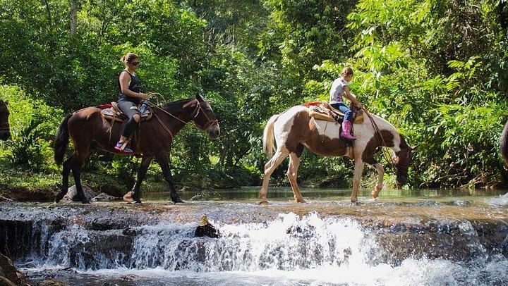 Horseback Riding Tour to Bijagual Waterfall near Jaco, Meeting at the Falls (3/5)