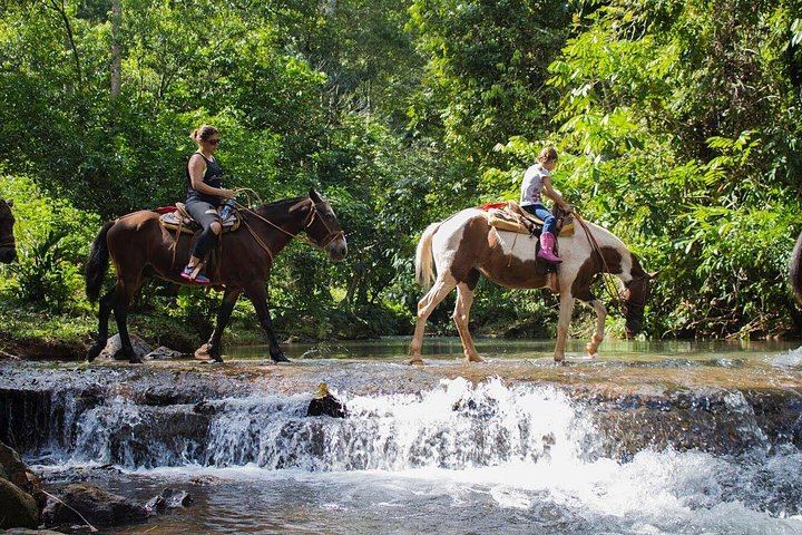 Horseback Riding Tour to Bijagual Waterfall near Jaco, Meeting at the Falls (3/5)