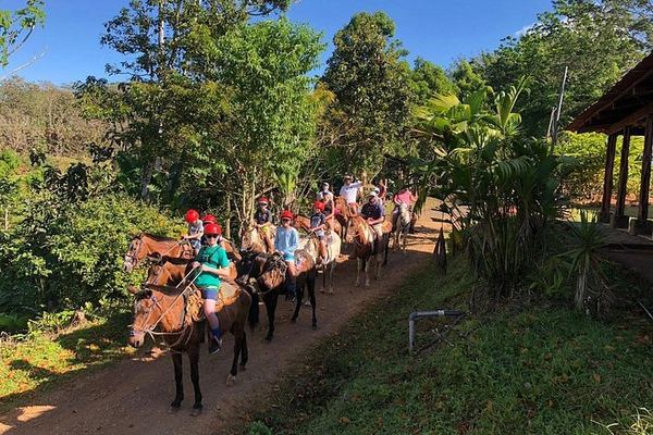 Horseback Riding Tour to Bijagual Waterfall near Jaco, Meeting at the Falls